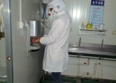 注意消毒衛生的海苔加工工作者